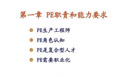 PE项目是做什么的？pe什么项目