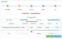 即征即退备案流程？税收项目怎样备案