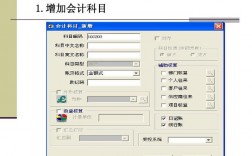 会计信息化的费用项目主要有哪些？会计信息系统项目管理