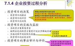 各原则对投资决策的作用？项目投资进行决策