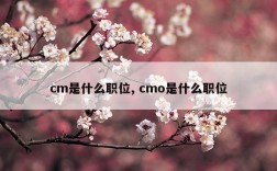 cm岗位是什么？cmo 项目