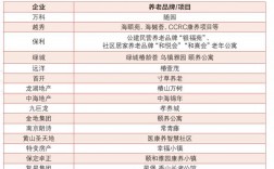 健康养老上市公司排行？养老项目上市