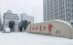 东北林业大学用哪个银行卡方便？中行林业项目