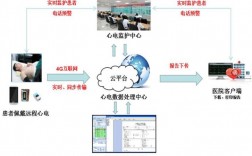 远程健康监护系统基本概念？远程健康管理项目