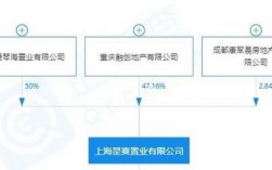 房地产置业有限公司与集团开发公司的区别？什么是房地产项目子公司