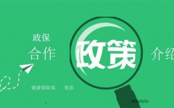 什么是政保？政保项目