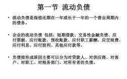 企业利用债务资本进行举债经营的优缺点有哪些？资本项目举债