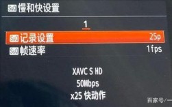 索尼记录设置什么意思？项目延迟记录