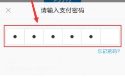 支付密码指的是什么密码？钱包的字符