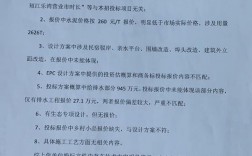 中标后，发现投标文件不符合招标文件的实质性要求怎么办？项目来源不清晰