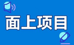 那么什么叫面上项目？面上项目是什么