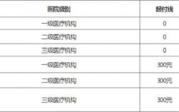 什么是一级二级三级定点医疗机构，级别怎么区分？医疗技术项目级别