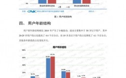 分析IT项目有哪些特点？it项目盈利分析