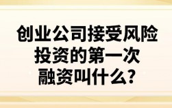 风投是什么意思？过去风投创业项目