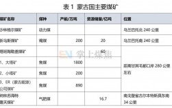 蒙古5号煤的指标？蒙古电厂项目