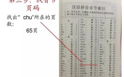 币音节的声音是什么音序查字法应查字母什么？(币字机教程)