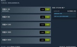 steam用什么支付？(steam visa支付教程)