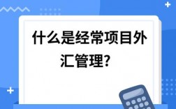 经常性项目指什么？外汇管理经常项目