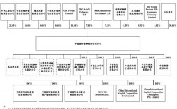 中金公司是什么级别单位？金融集团项目组