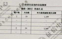 征信报告余额和逾期金额什么意思？项目欠款解决报告