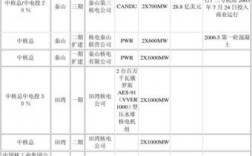 中电投与国家核电什么时候合并的？中电投核电项目名单