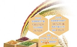 粮食企业所得税优惠政策最新2021？军品项目 免税