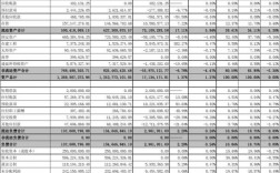 财务报表如何分析出资能力？项目财产分析