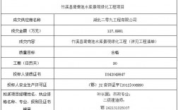 水库工程测绘、清点及项目评估竞争性磋商公告是什么意思？购买项目评估会