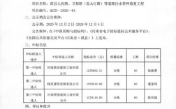 国电电力属于中字头吗？龙元建设中标项目公示