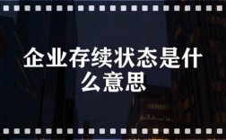 企业状态存续是什么意思？项目存续