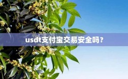 usdt支付宝交易安全吗？(挖eth币风险)