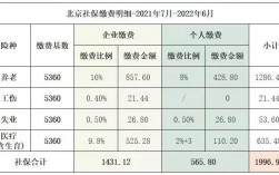 2021年北京社保可以延迟缴费吗？北京项目备案延期