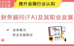 fa什么职业？并购项目fa