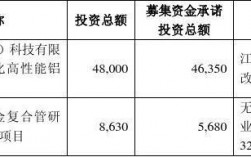 募集资金置换募投项目已投入自筹资金什么意思？募投项目汇总