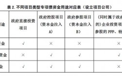 财政专项资金可以做项目资本金吗？政府地方存量项目