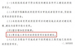 政府投资，添购资金总额超过原合同采购金额百分之十可以进行处罚吗？政府投资项目总额