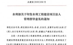 水利工程项目法人机构设置规定？水利项目法人制