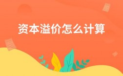 资本项下什么意思？项目资本溢价