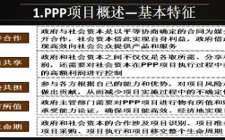 ppp项目立项要求？bot项目 金额