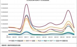 安踏集团愿景五大维度？安踏项目需求概述