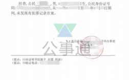 涉外无犯罪记录证明公证办理流程？海外项目公正