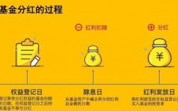 基金一般是怎样分红的？基金公司项目流程