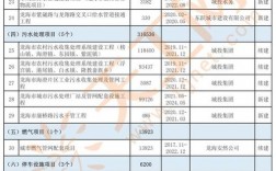 2021年国家重点项目名单？龙海金龙项目