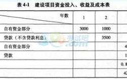 投入和支出的区别？对项目投入