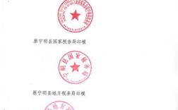 公司名字比较长电子版公章怎么办？项目章名称过长