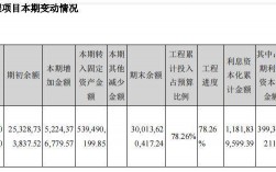 在建项目哪些费用会导致企业亏损？亏损的项目