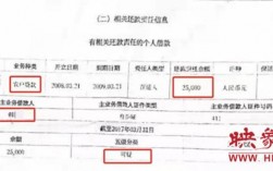 征信报告担保可疑、损失是什么意思？贷款担保项目损失