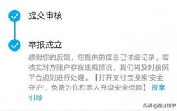 第三方支付平台永久冻结的资金是如何处理的？是否违法？该由什么部门来监管这一问题？项目资金违规支付