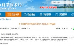 国家为什么扶持合肥？合肥政府扶持项目