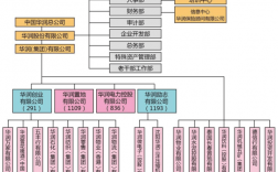 华润由来？华润项目组织结构